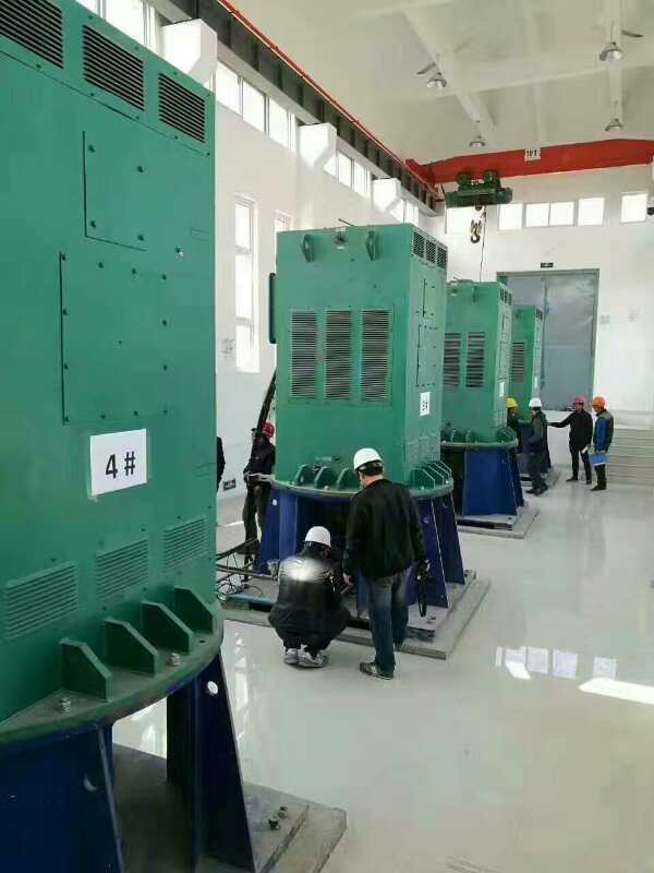 YKK710-6某污水处理厂使用我厂的立式高压电机安装现场